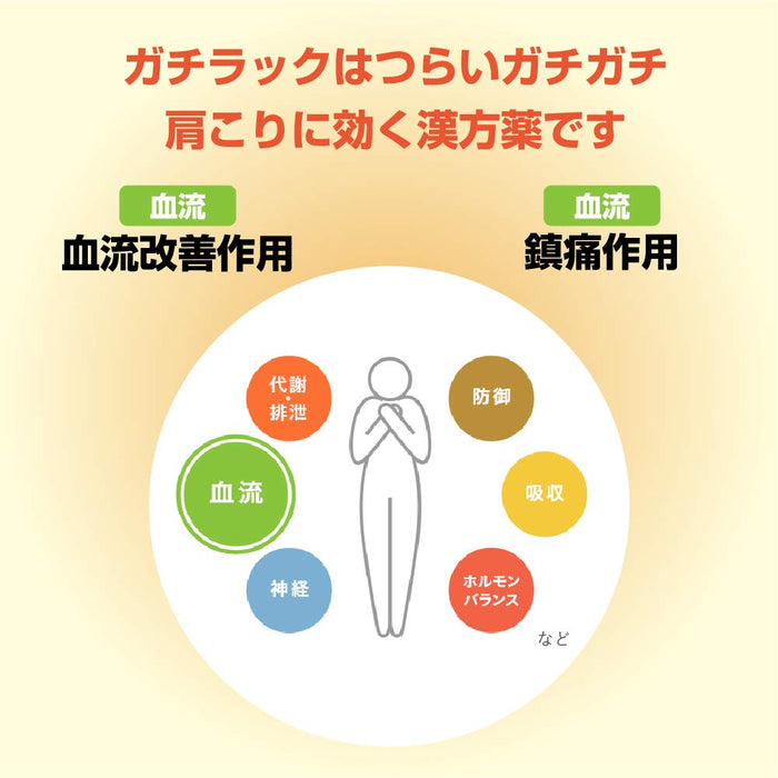 Rohto Pharmaceutical Japanese & Chinese Medicine Gachirak 36 Tablets - 2Nd Class Otc Drug Japan