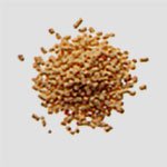 Kracie 10 Pack Kakkonto Extract Granules 2Nd-Class Otc Drug | Japan | Self-Medication Tax System