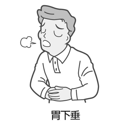 Kracie Kampo Rikkunshito Extract Granules 45 Packs (2Nd Class Otc Drug) Japan