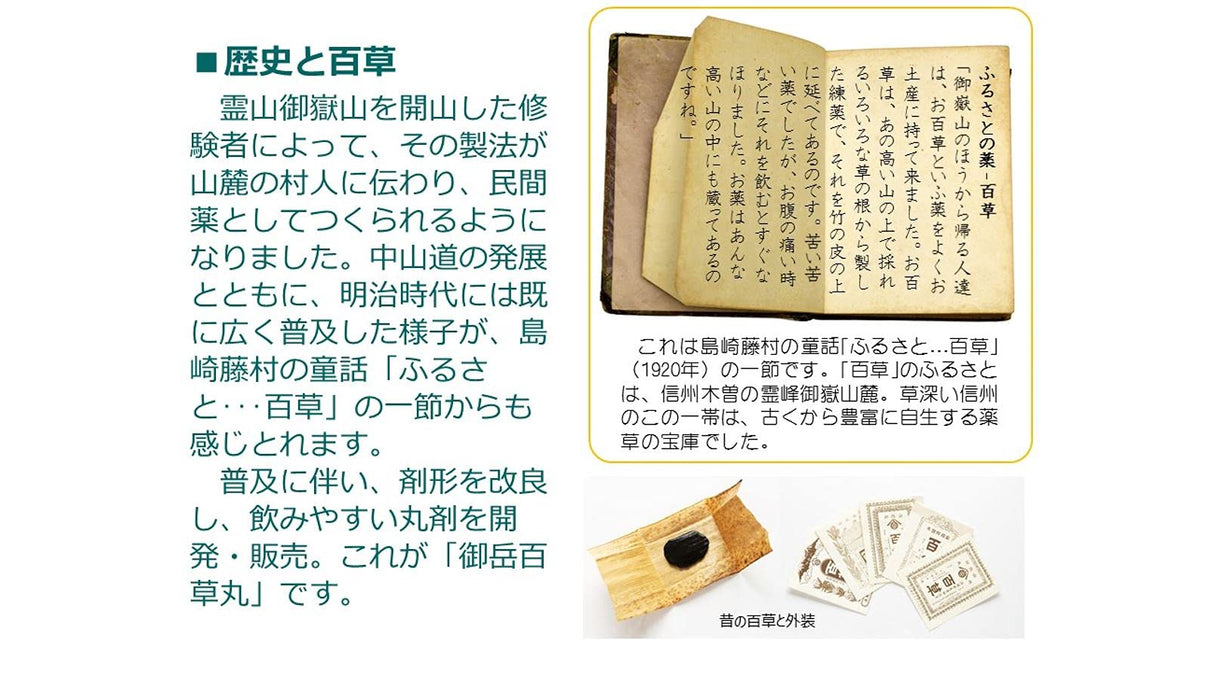 長野製藥 Mitake Hyakusamaru 4100 片 - 日本二類非處方藥