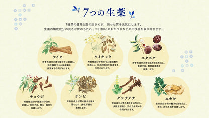 Ohta'S Isan Japan 2Nd-Class Otc Drug 16 Packs Package