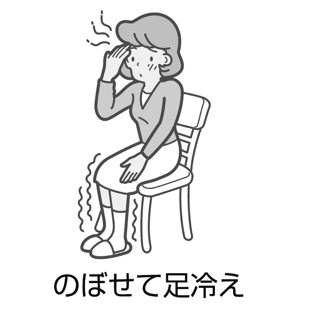 Kracie Pharmaceuticals Kampo Keishibukuryogan Extract Granules 45 Packs - Japan 2Nd-Class Otc Drug