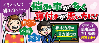 Kracie Kampo Saiko-Karyuko-Konryo-To Extract Granules 24 Packs - 2Nd Class Otc Drug From Japan