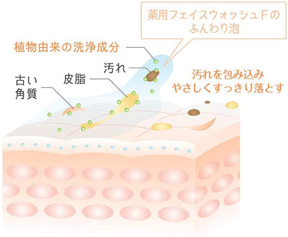 Atorrege AD + Medicinal Face Wash F - Japan Facial Wash For Sensitive And Dry Skin