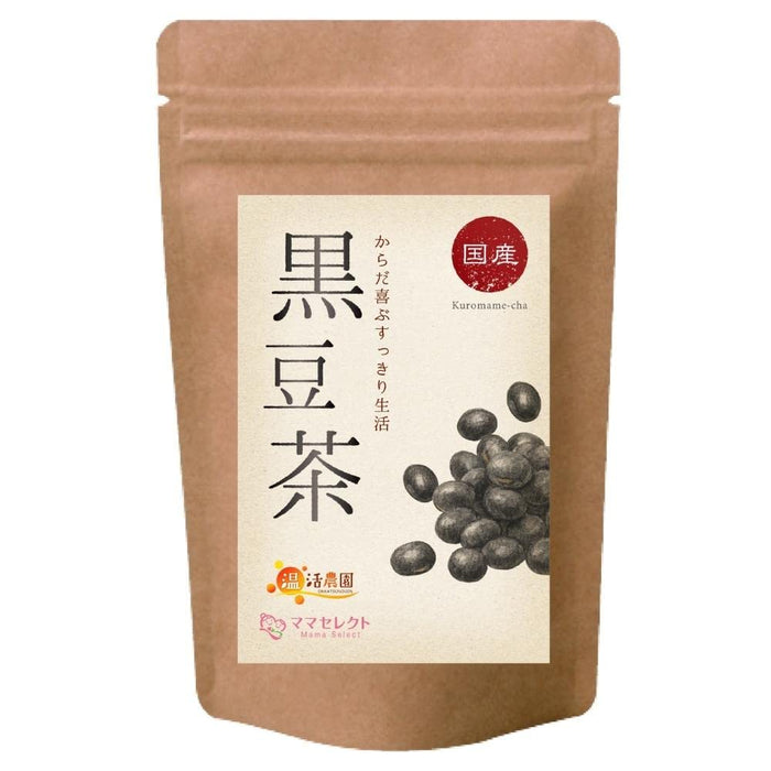 Honjien Tea Black Soybean Tea Bag 5g x 40 Bags - Soybean Tea - Organic Healthy Tea