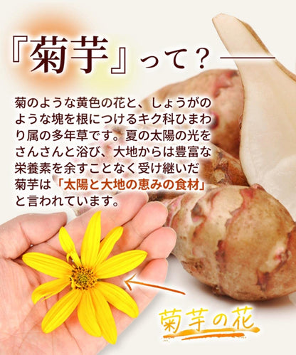 Honjien Tea Kikuimocha Tea Bag 2.5g x 30 Bags - Japanese Non-Caffeine Tea - Healthy Tea