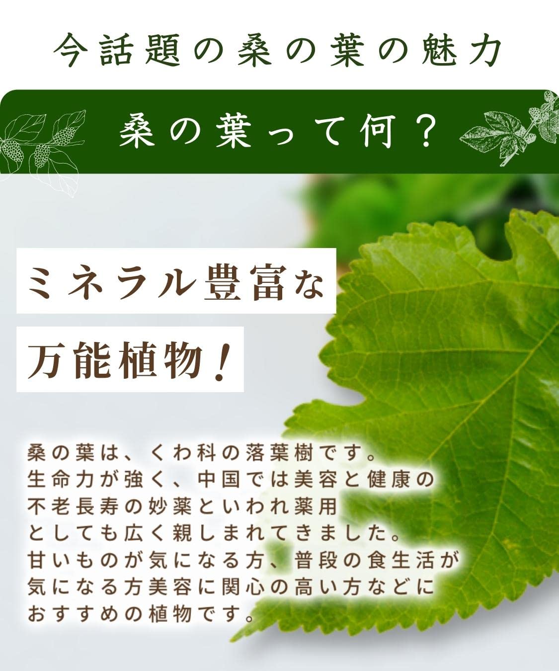 Honjien Tea Kuwanoha Tea Bag 3g x 30 Bags - Additive-Free Tea - Healthy Tea