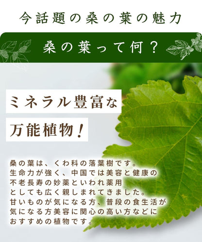 Honjien Tea Kuwanoha Tea Bag 3g x 30 Bags - Additive-Free Tea - Healthy Tea