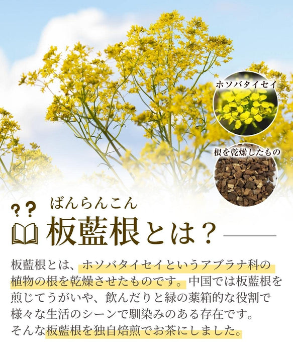 Honjien Tea Itaine Tea Bag 1.5g x 40 Bags - Tea Bag From Japan - Healthy Tea