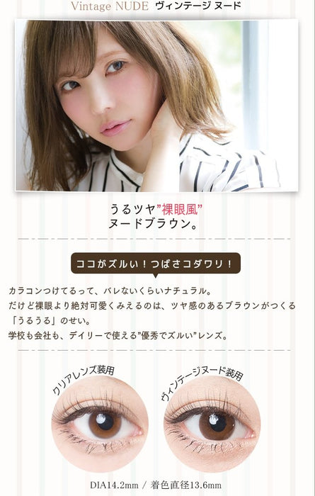 Angelcolor1Day Bambi Series 10Pcs Vintage Nude -0.5 - Japan