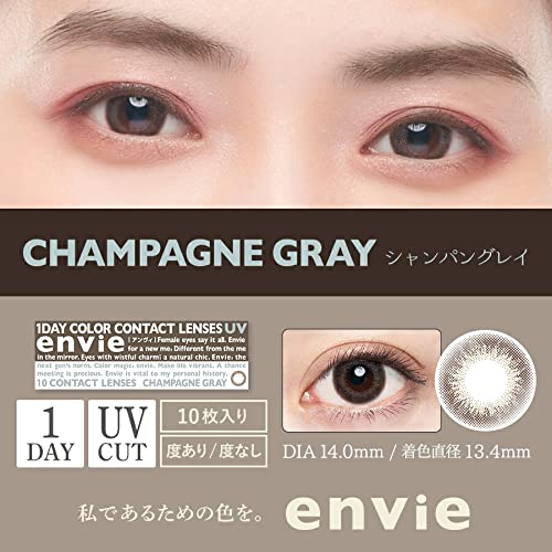 Ambi Anvy Envie 1Day Champagne Gray -4.25 10Pcs Japan - 1 Box