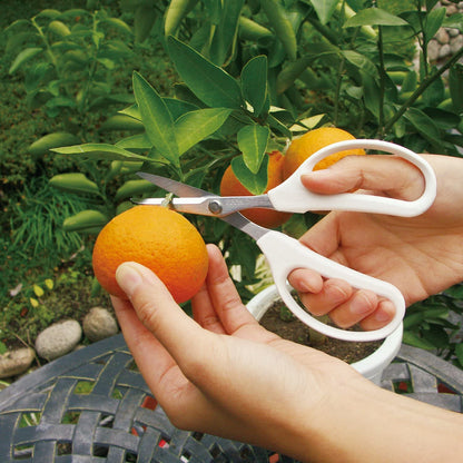 Ars Corporation High Carbon Cutlery Steel Scissors