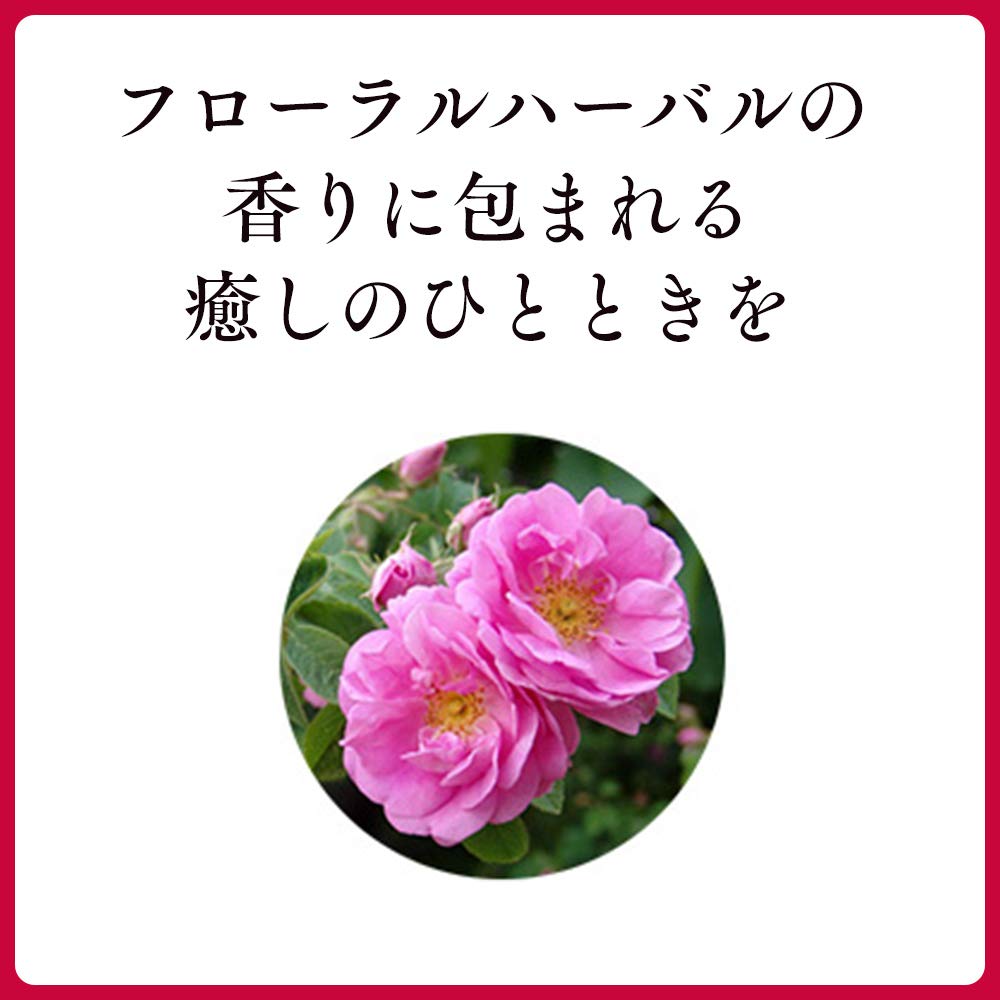 Fujifilm Astalift Scalp Focus Shampoo 360Ml Non-Silicon Lauryl Sulfate Free Ceramide