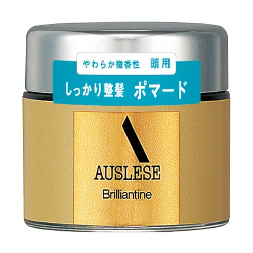 【新品】AUSLESE ブリランチンN ポマード　大容量120g 2個 資生堂アウスレーゼ ブリランチンN 80G 日本から
