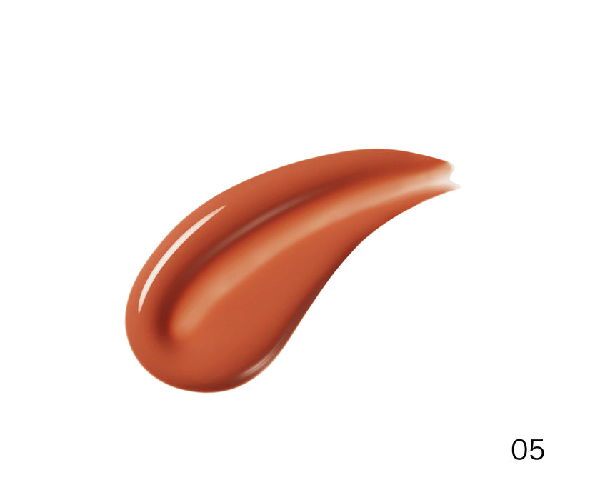 B Idol Glossy Lip R05 Orange Brown 2.4G