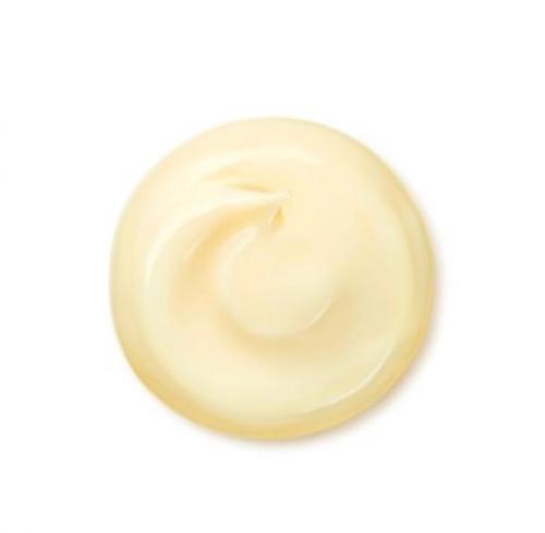 Benefiance Wrinkle Smoothing Cream Enriched 50g Japan With Love