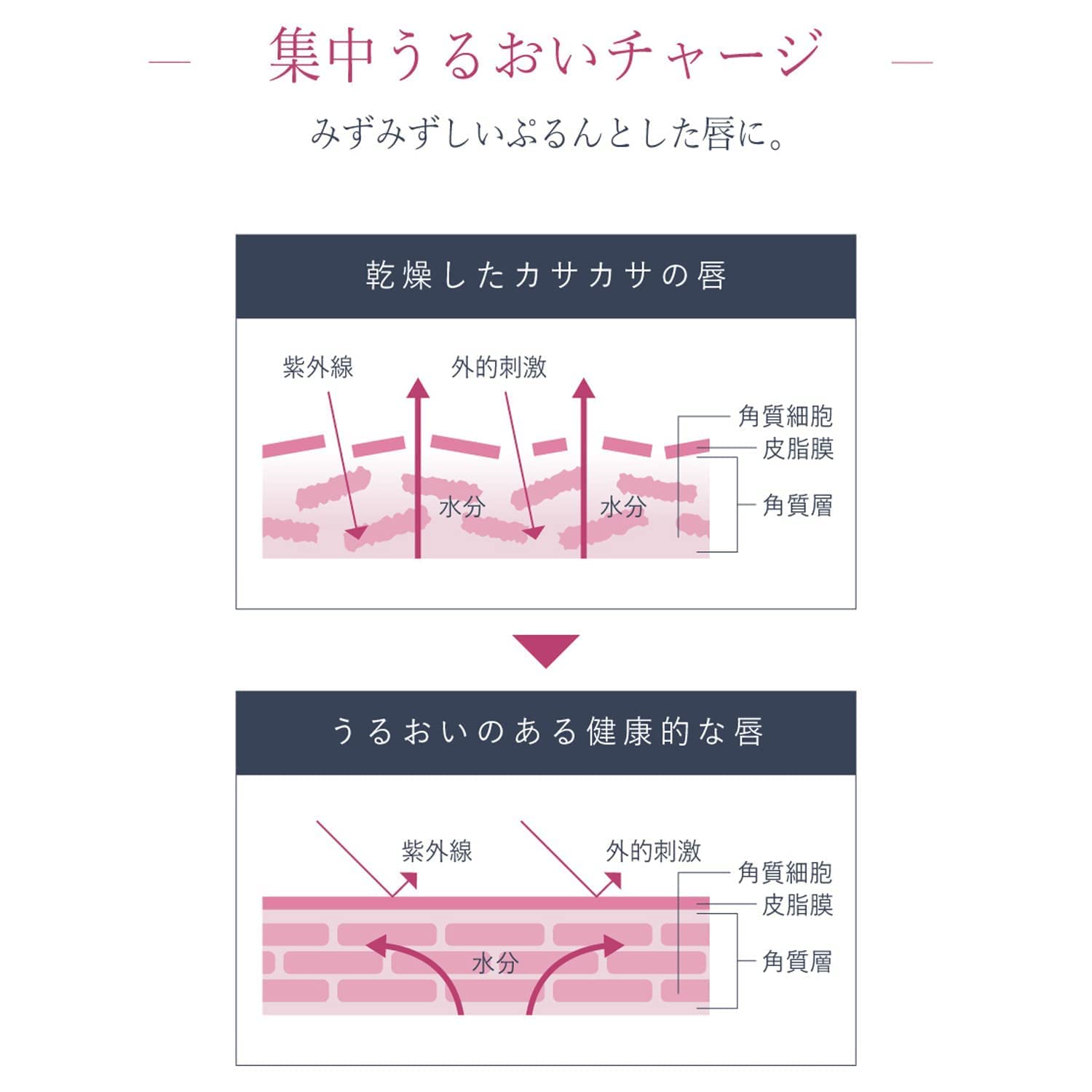 Borica Japan Lip Plumper Extra Serum 01 Pink