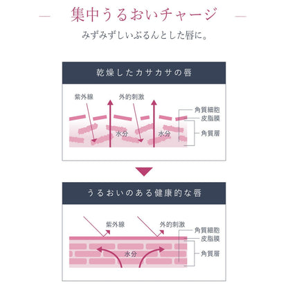 Borica Japan Lip Plumper Extra Serum 01 Pink