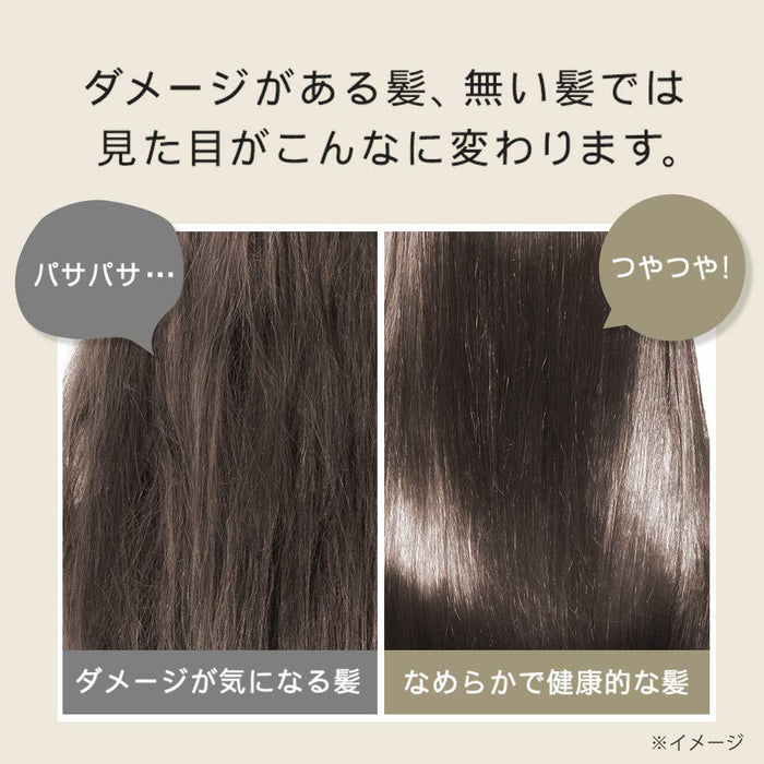 Botanist Damage Care Shampoo 490Ml From Japan
