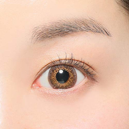 Candy Magic 1Day Gossip Brown 10 Pieces Japan -0.00 ±0.00