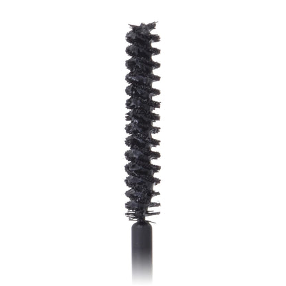 Canmake Lash Frame Mascara 01 Natural Black 5.5g - Long-lasting Smudge-Proof