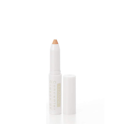 Cezanne Concealer Crayon UV 02 Ochre 1.8G - Blendable and Long-Lasting
