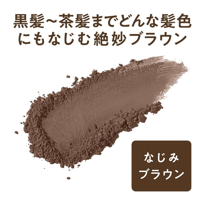 Cezanne Hair Makeup Powder in Familiar Brown 4.0g - Hair Color Enhancing Powder