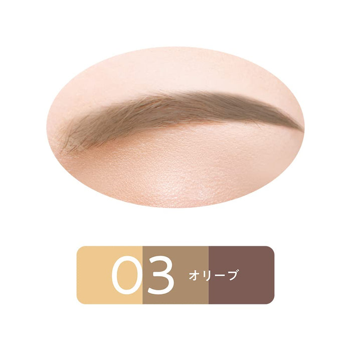 Cezanne Eyebrow and Nose Shadow Powder 03 Olive 3G Pack of 1