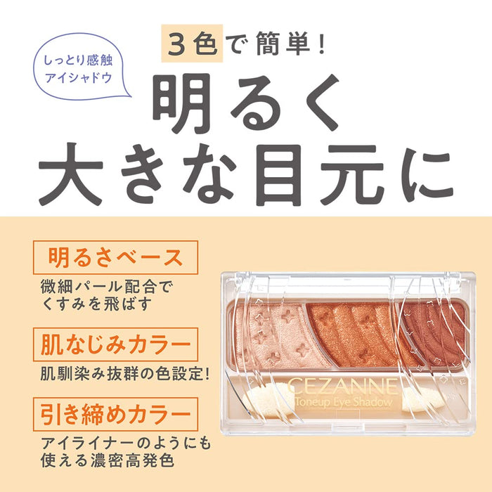 Cezanne Tone Up Eyeshadow 10 Very Brown 2.6g - Japanese Eyeshadow Products
