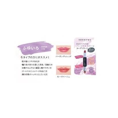 Chemore Cocoiro Personal Color Rouge Fuyuiro Japan With Love 1