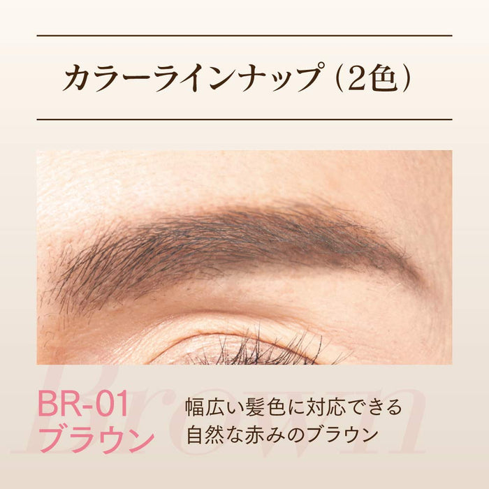 Coffret D&#39;Or Grand Soft Pencil Eyebrow Refill Br-01 Brown Japan [Discontinued]