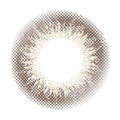 Envie 1 Day Color Contacts 30Pk 14.0Mm Champagne Gray -6.50 Japan