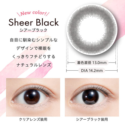 We Rejoice Color Contacts Feliamo Mai Shiraishi 1 Day Sheer Black [-4.25] Japan