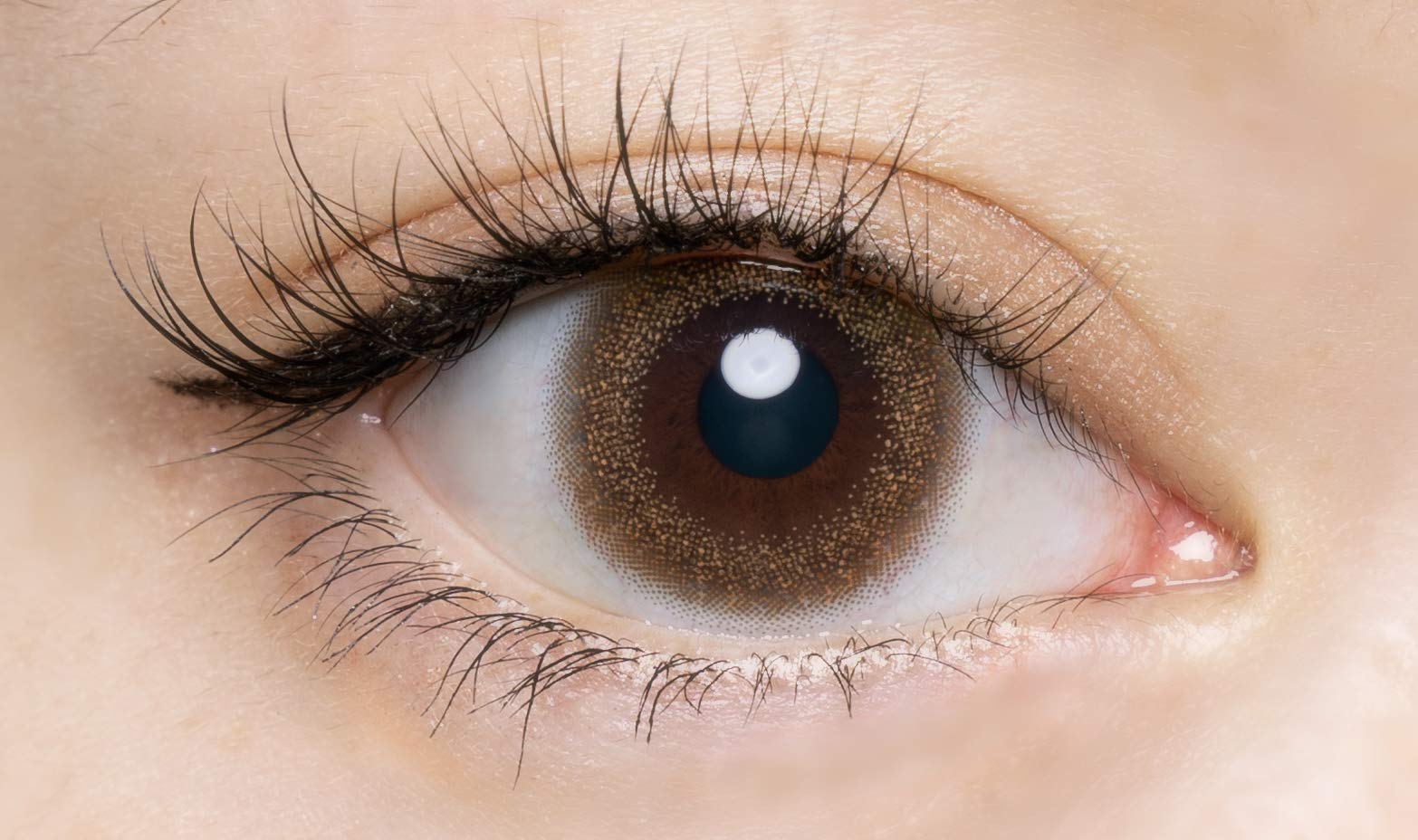 Flanmy One Day Honey Toast -07.50 Power 30 Pieces Per Box - Japan