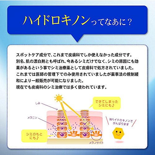 Asahi Institute 10G Hydroquinone From Japan