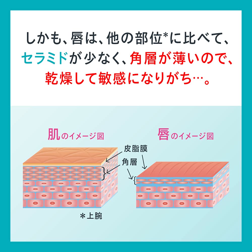 Kao Curel Lip Care Stick 4.2g - Japanese Lip Balm - Lips Care Products Must Try