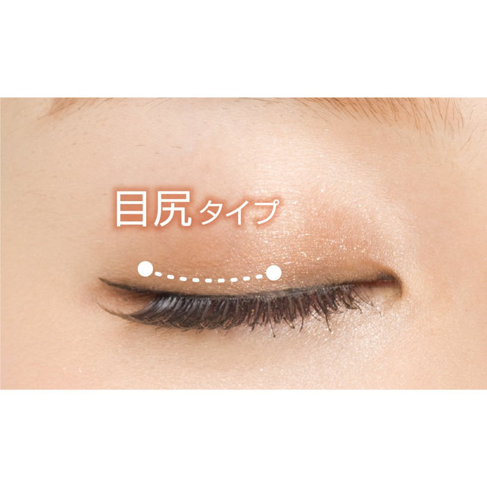 D-Up Japan Maikawa Aiku Selection Eyelash Secret Brown Mix 926