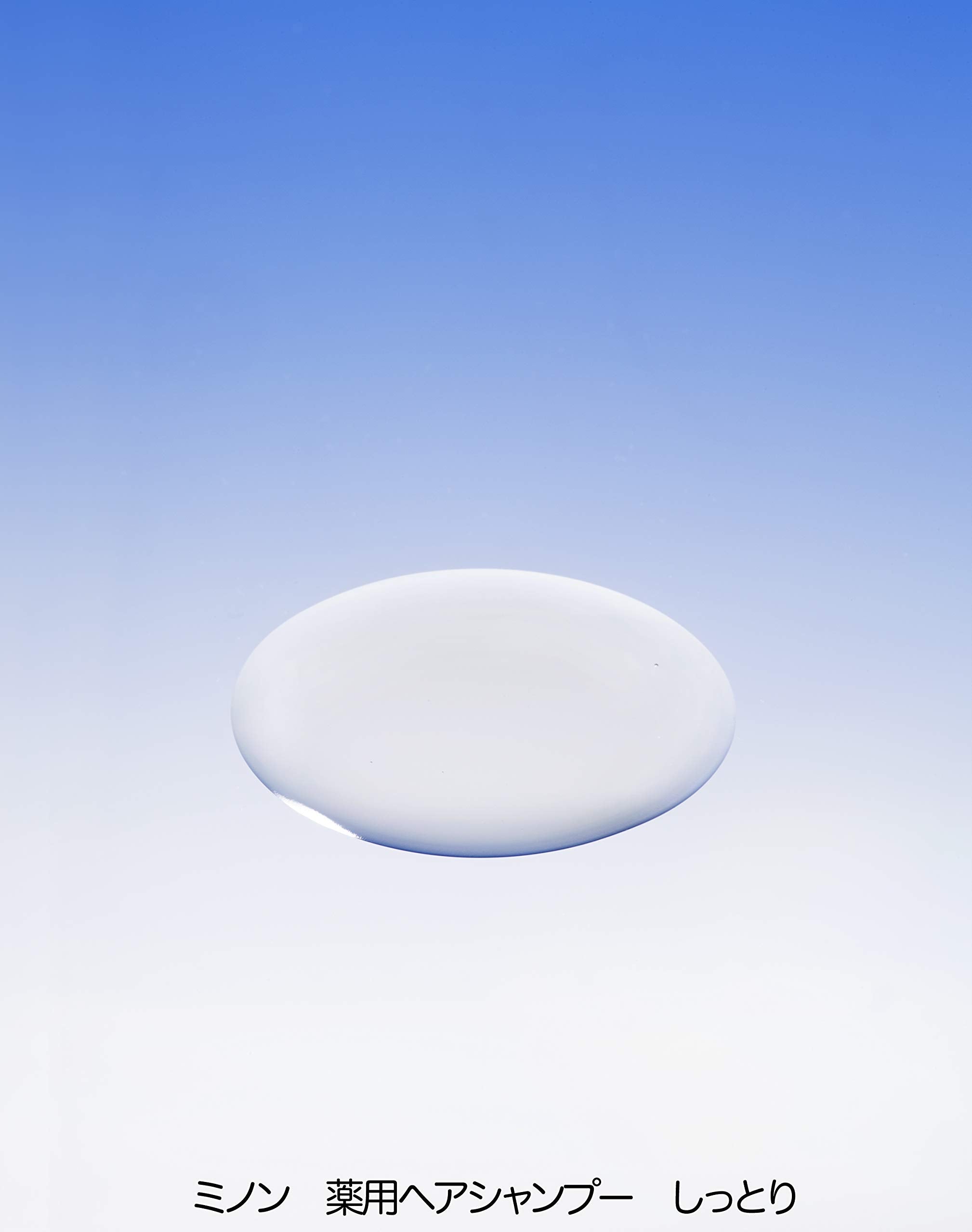 Minon Shampoo Moisture Refill 380ml - Japanese Moisturizing Shampoo - Haircare Products