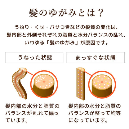 Diabete Japan Dear Beaute Damage Repair Oil-In Conditioner 500G Pump