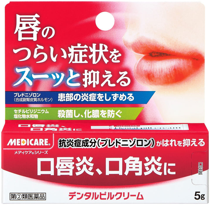 Jintan Morishita 5G 指定 2 種藥物牙科藥膏 - 日本製造