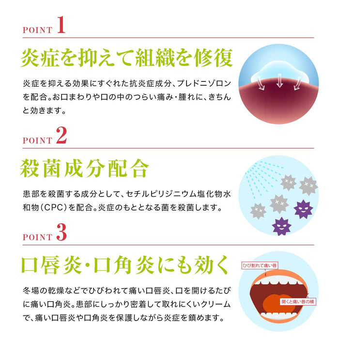 Jintan Morishita 5G 指定 2 種藥物牙科藥膏 - 日本製造