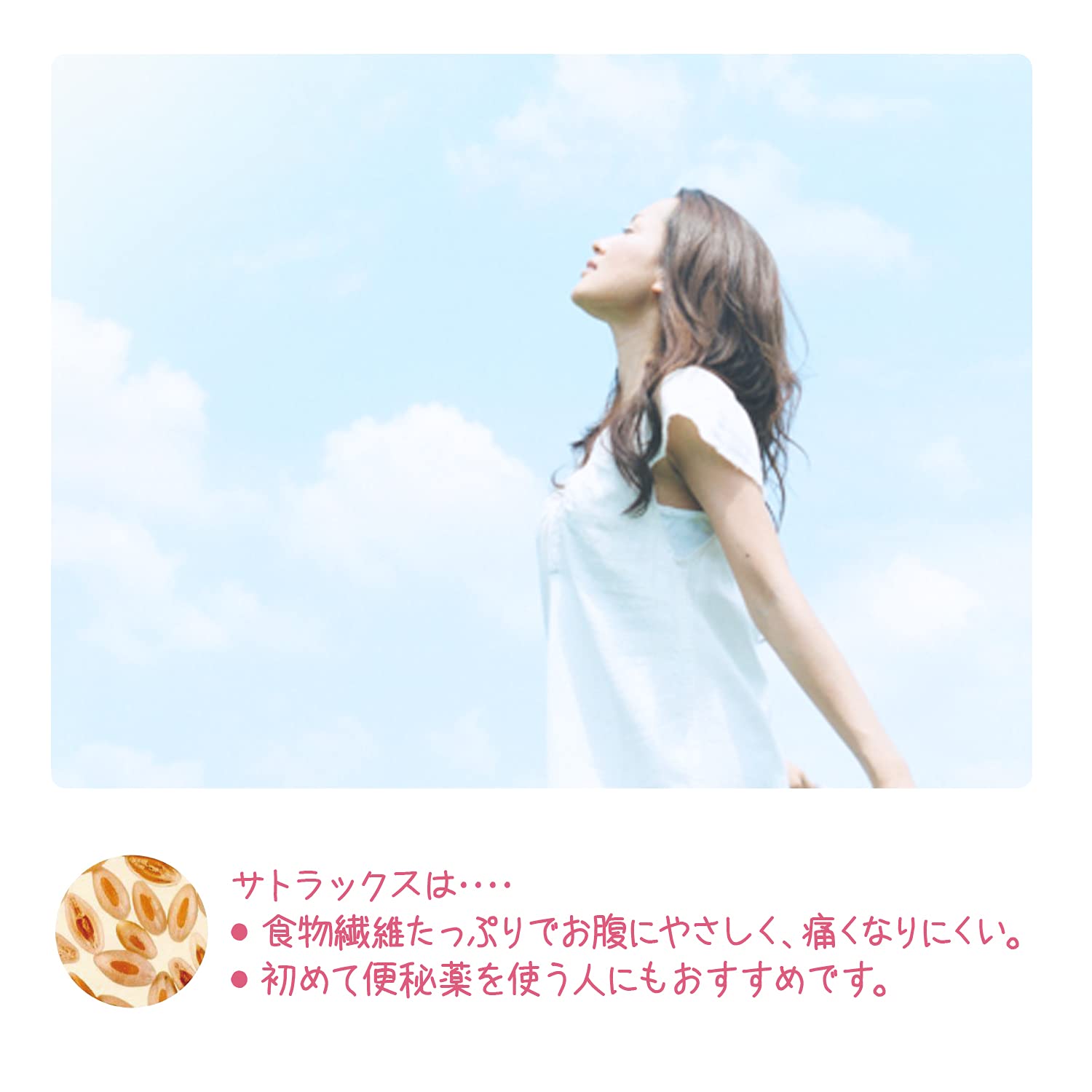 Sato Pharmaceutical Japan Sutrax 400G [2 Drugs Designated]