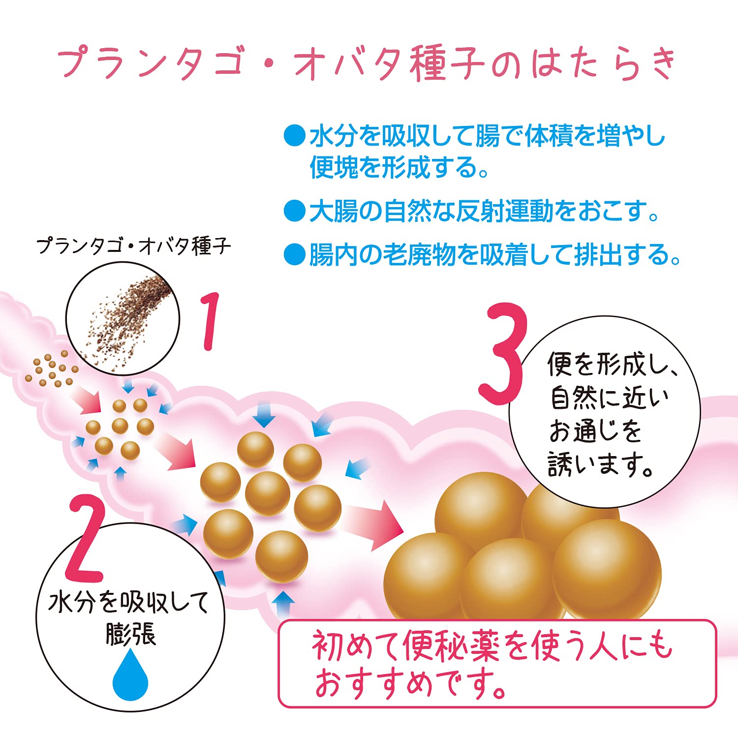 Sato Pharmaceutical Japan Sutrax 400G [2 Drugs Designated]