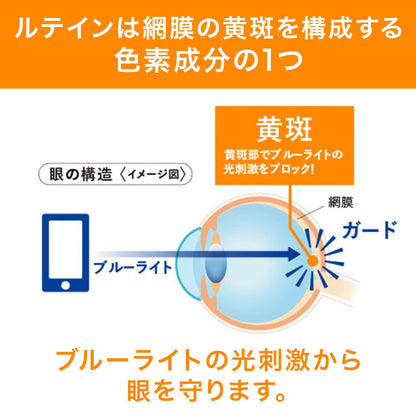 Dhc Lutein Light Measures For Protection From Computer/Smartphone 30-Day Supply - Japanese Eye Care
