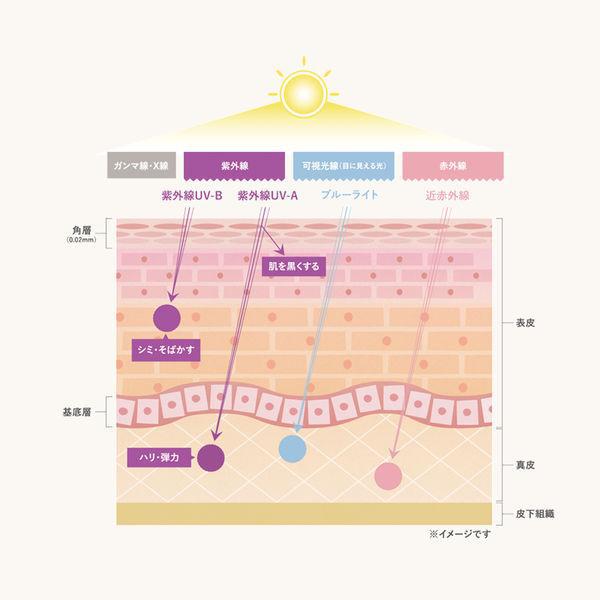 Etvos Mineral Uv Veil Sunscreen spf45 Pa Japan With Love