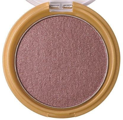 Excel Deep Shadow Ms03 Fuchsia Brown Eyeshadow Palette