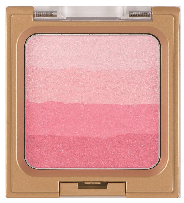 Excel Blossom Pink Gradient Cheek N Gc03 - Beautifying Blush Makeup