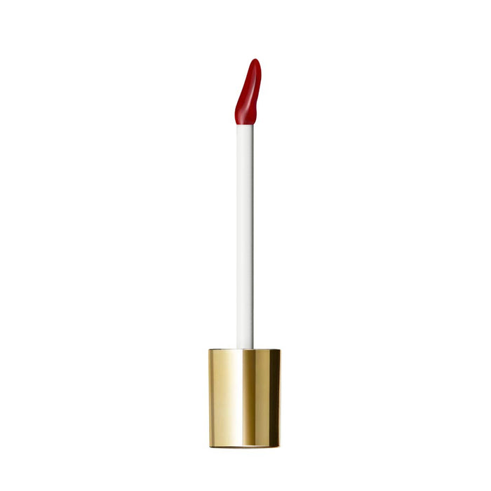 Excel Nuance Gloss Oil Go04 Lipstick in Dry Fig Shade