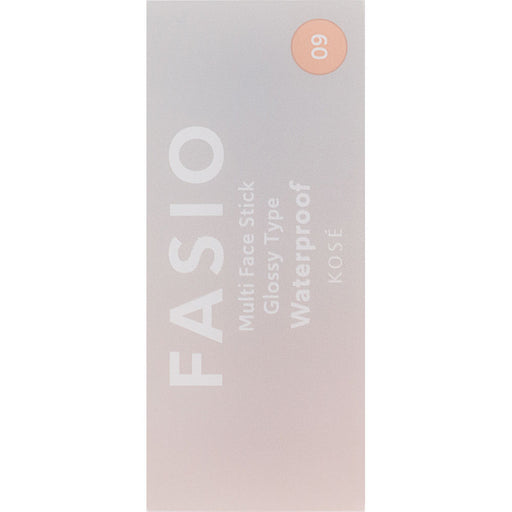Fasio Multi-Face Stick 09 Glowy Veil