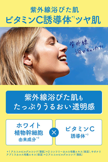 Face Mask [Moisture Transparency] Ritz White 30 Sheets